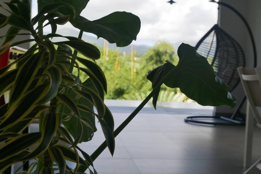 Villa Kumquat, avec piscine Clévacances 4 clés Petit-Bourg Esterno foto