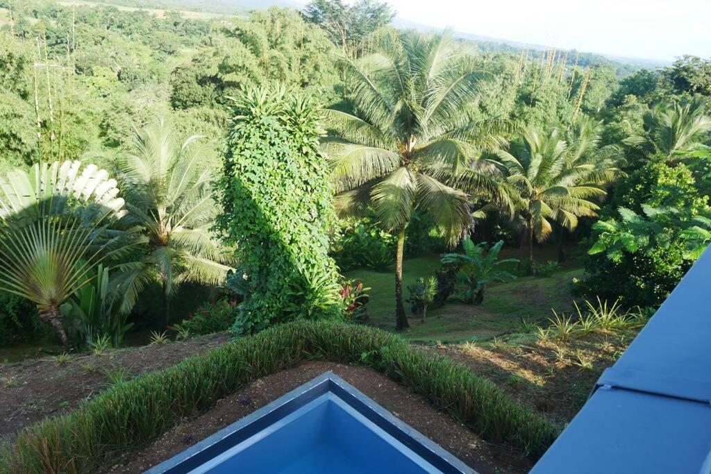 Villa Kumquat, avec piscine Clévacances 4 clés Petit-Bourg Esterno foto
